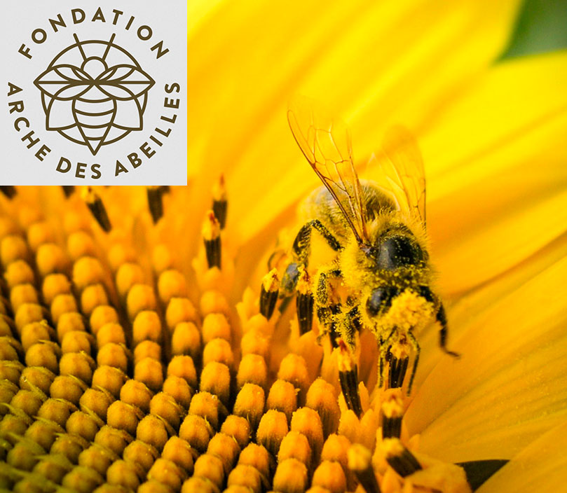 RoMa Energies parraine des ruches à la Fondation Arche des Abeilles